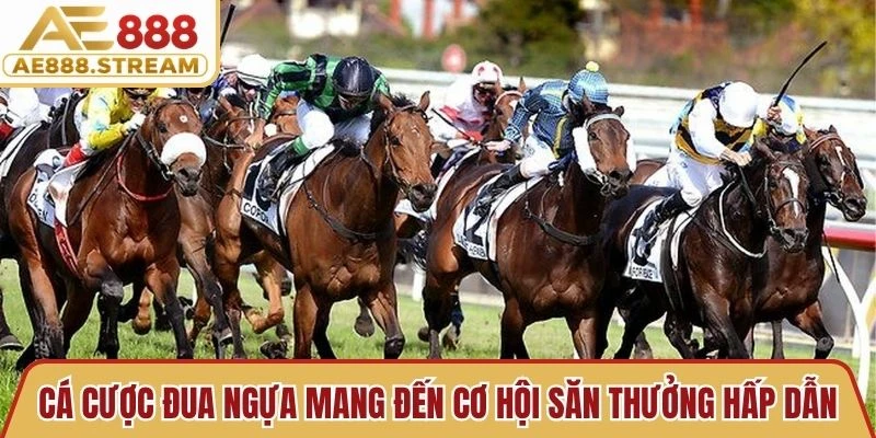 Cá cược đua ngựa mang đến cơ hội săn thưởng hấp dẫn với tỷ lệ ăn cực cao