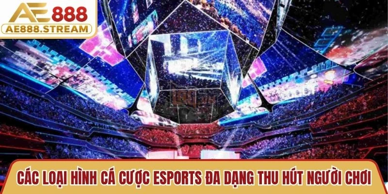 Các loại hình cá cược esports đa dạng thu hút đông đảo người chơi