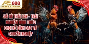 Đá gà Thái Lan