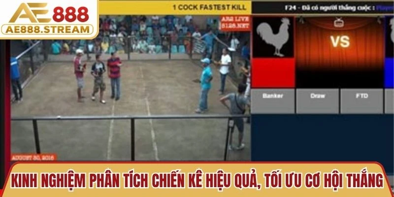 Kinh nghiệm phân tích chiến kê hiệu quả, tối ưu cơ hội thắng