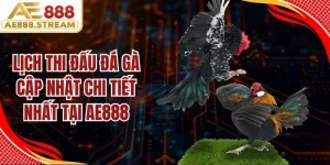 Lịch Thi Đấu Đá Gà