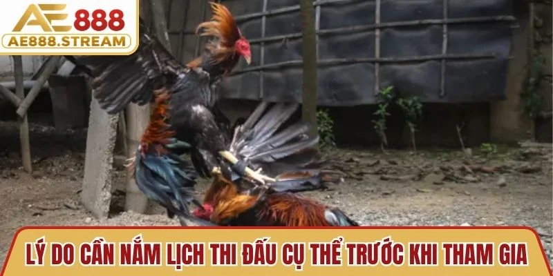 Lý do cần nắm lịch thi đấu cụ thể trước khi tham gia trận đấu